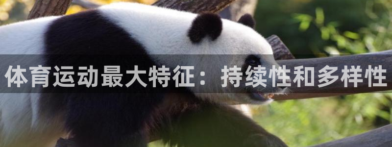 k1体育十年品牌值得信赖网址