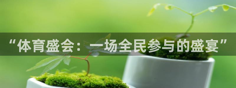 k1体育入口