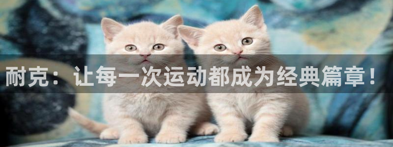 k1体育 十年品牌
