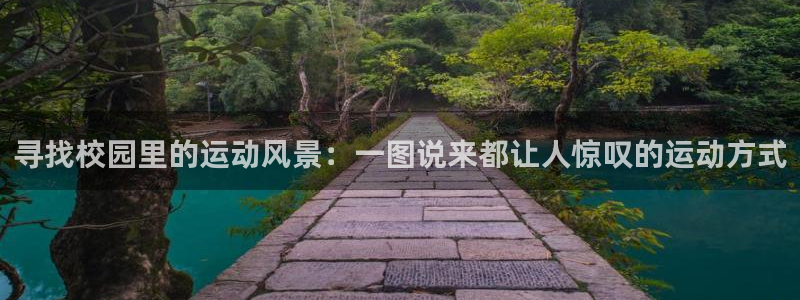 k1体育十年登录入口