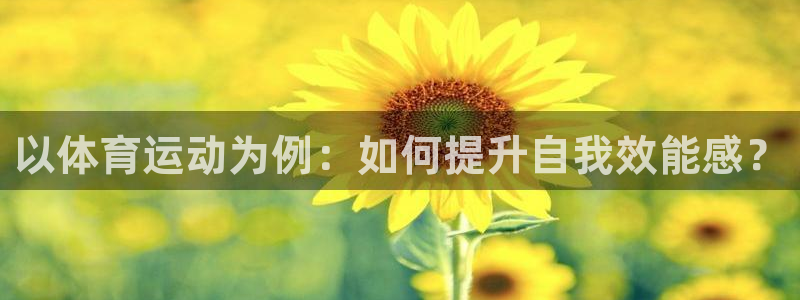 k1体育棋牌网址