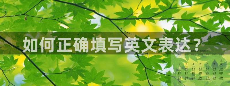 k1体育平台最新网站下载