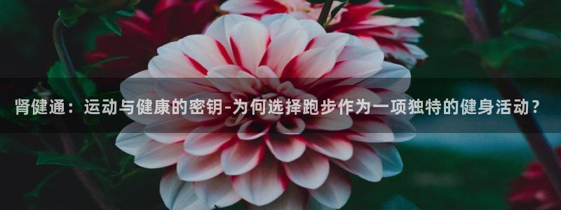 k1体育十年平台