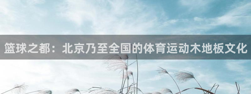 k1体育app下载链接