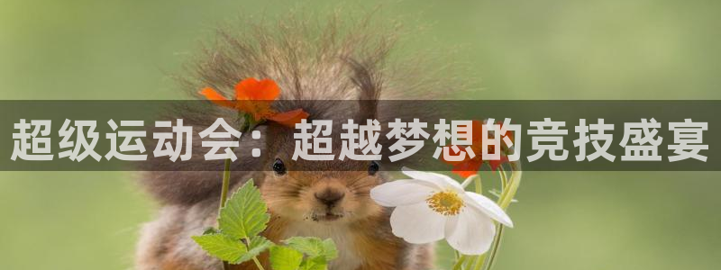 k1体育十年品牌官网