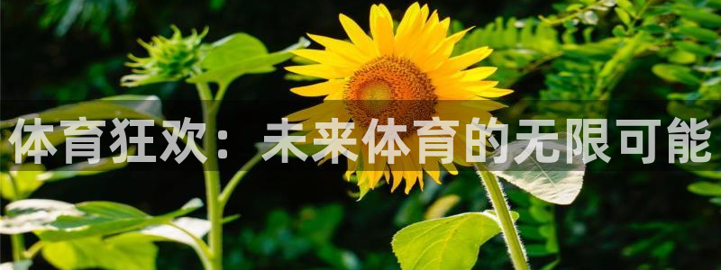 k1体育平台下载