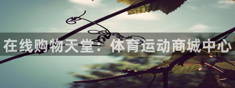 k1体育app官网登录入口